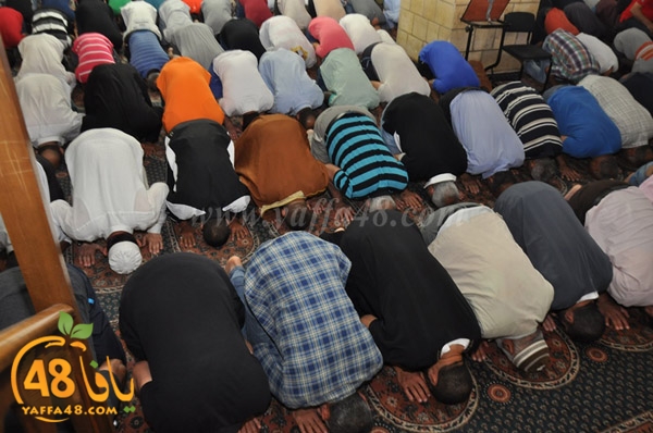 7san bek jsh (9).JPG